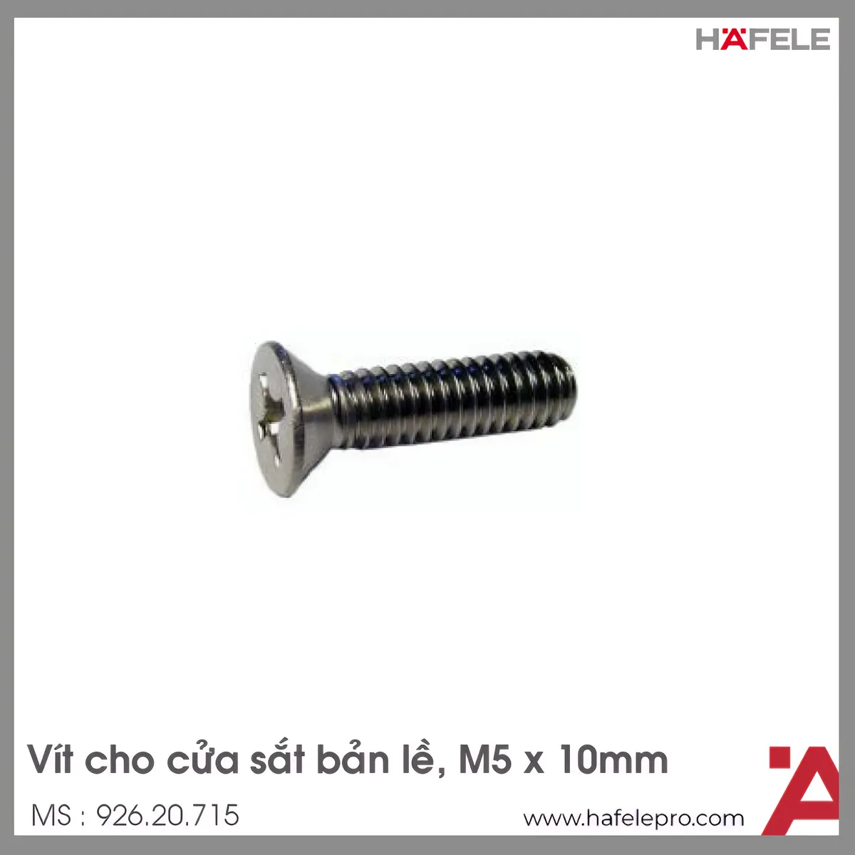 Vít Dùng Cửa Thép Cho Bản Lề Hafele 926.20.715