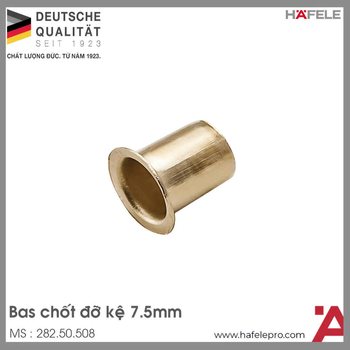 Bas Chốt Đỡ Kệ Hafele 282.50.508