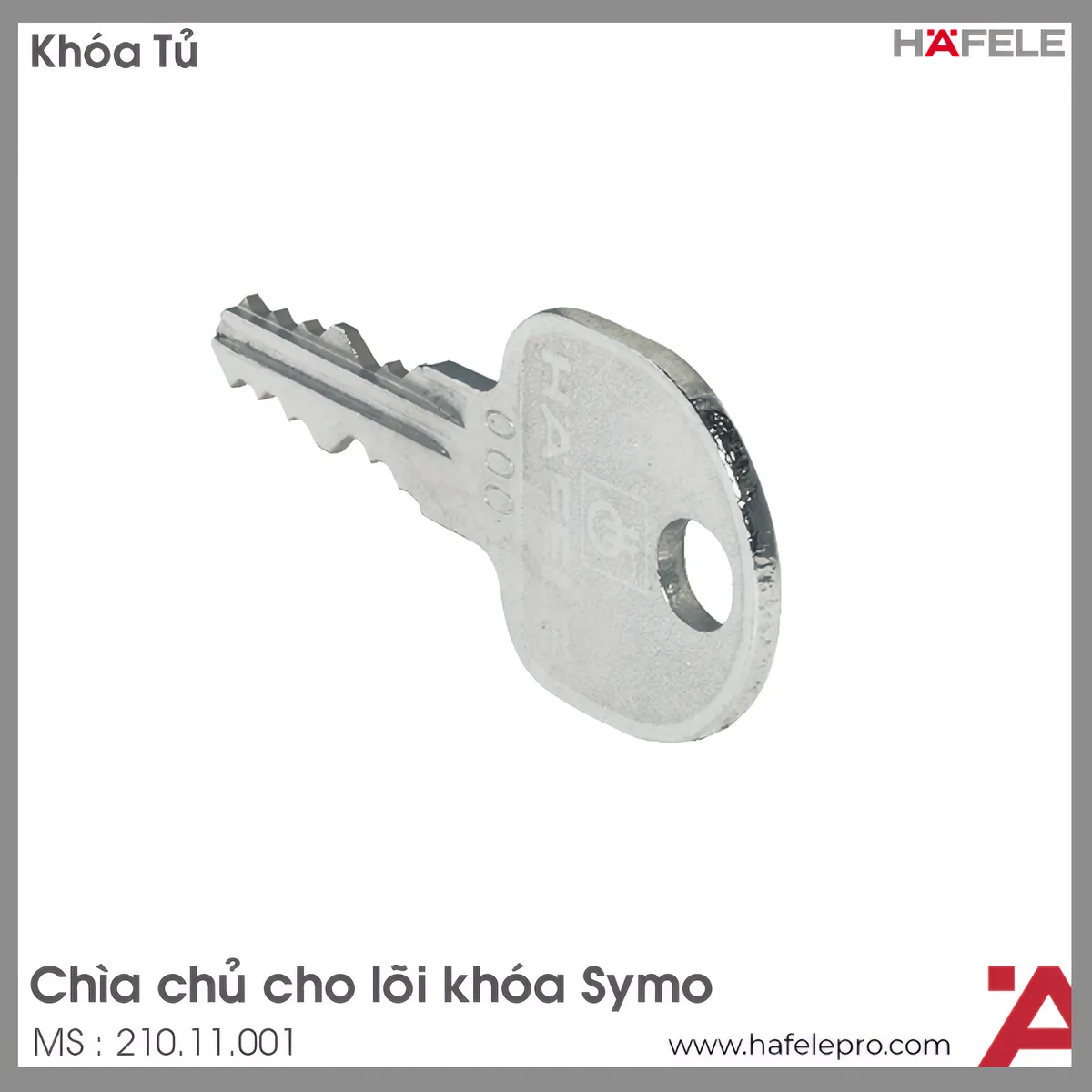 Chìa Chủ Cho Lõi Khóa Symo Hafele 210.11.001