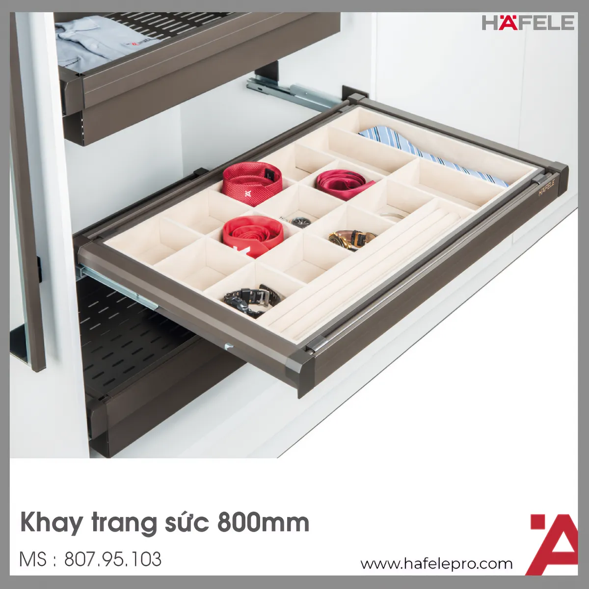 Khay Đựng Trang Sức 800mm Hafele 807.95.103