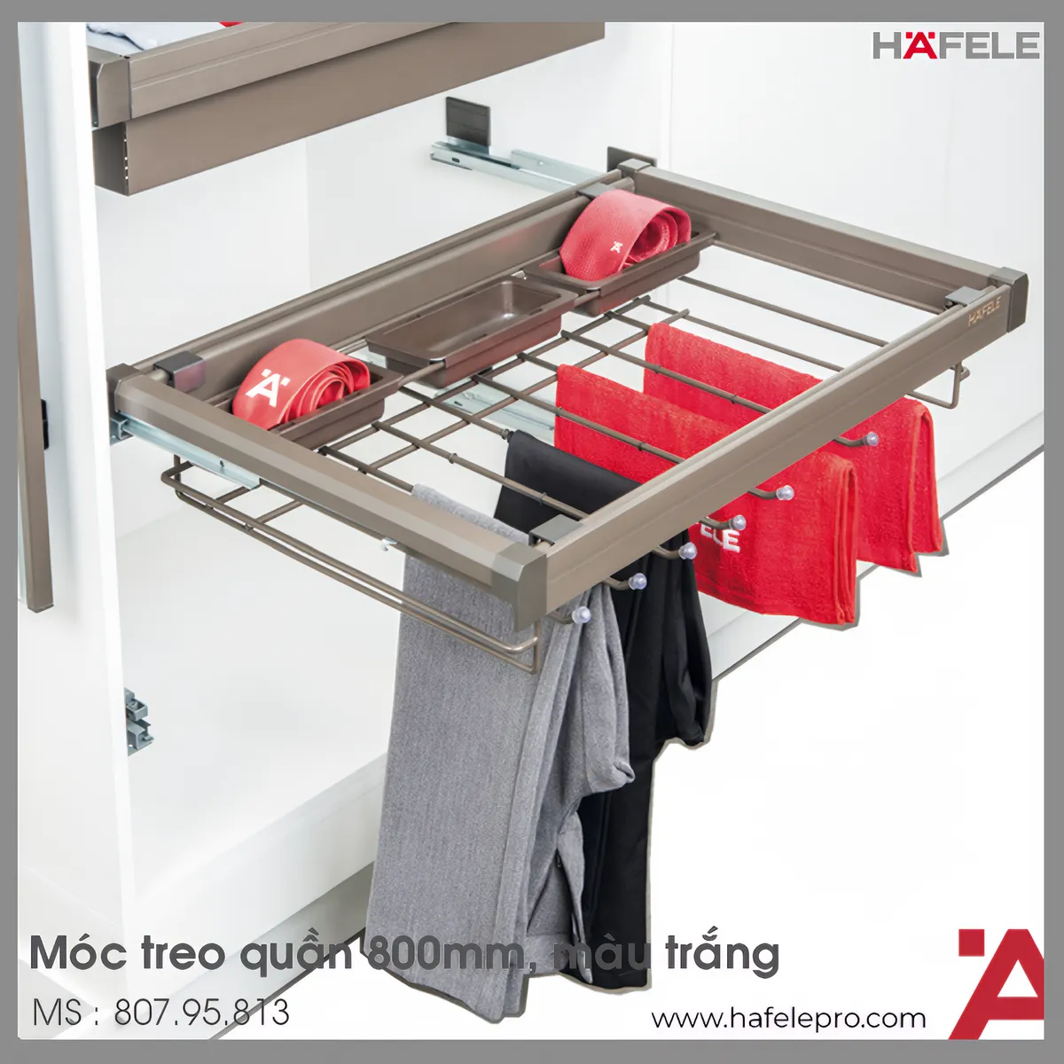 Móc Treo Quần 800mm Với Hộp Nhựa Hafele 807.95.813