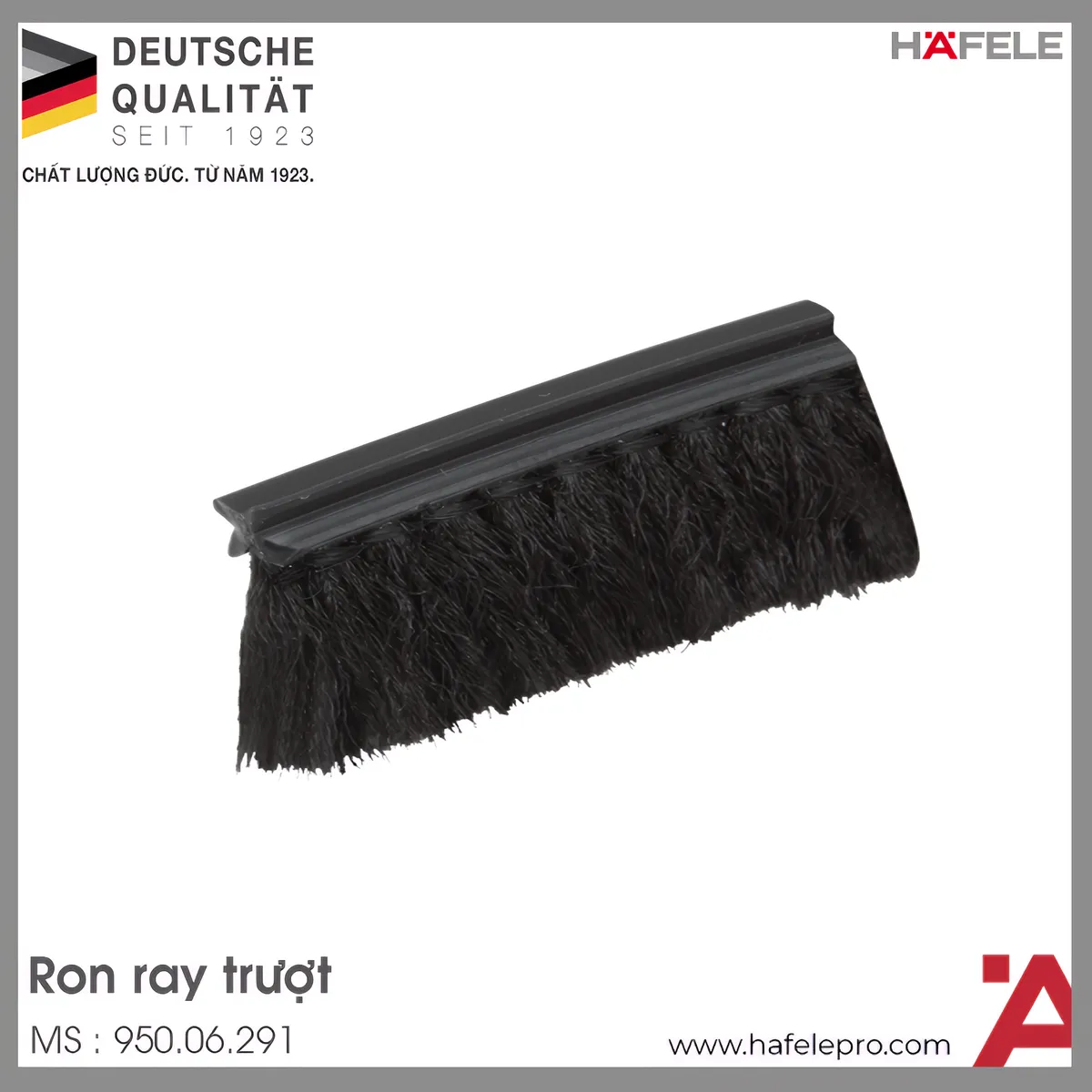 Ron Ray Trượt Hafele 950.06.291
