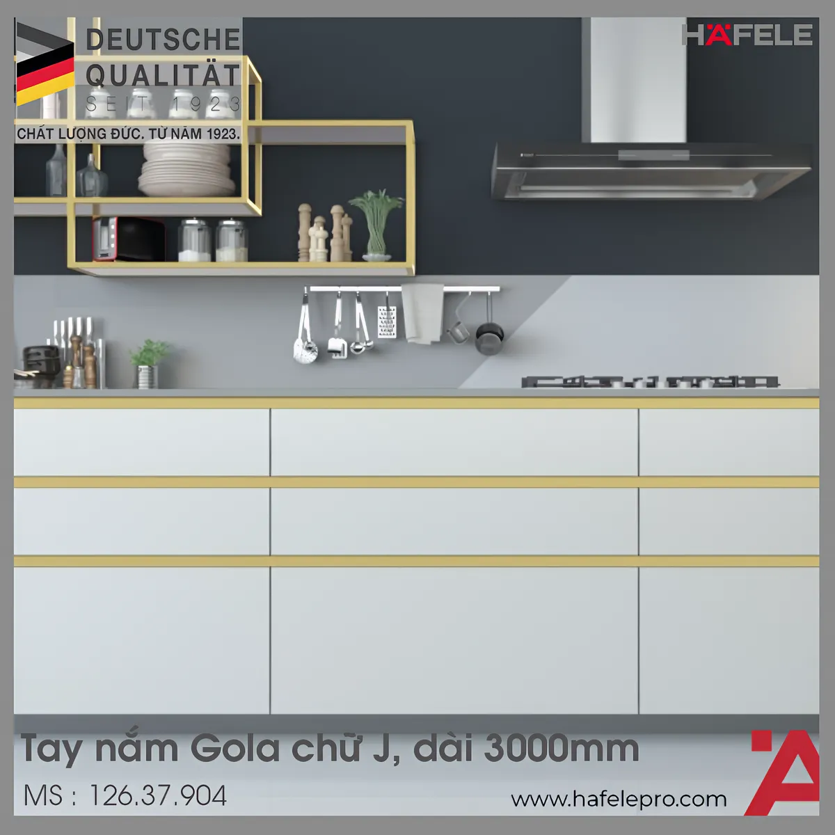 Tay Nắm Tủ Ngang Gola 2800mm Hafele 126.37.904