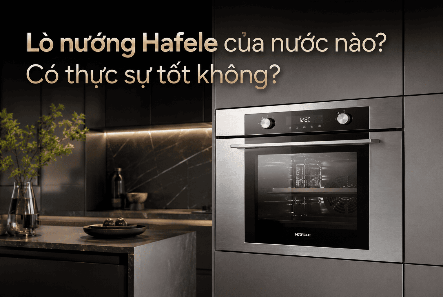 Lò Nướng Hafele Chính Hãng: Đánh Giá, Bảng Giá & Kinh Nghiệm Chọn Mua - HafelePro lò nướng hafele