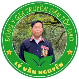 ly van nguyen