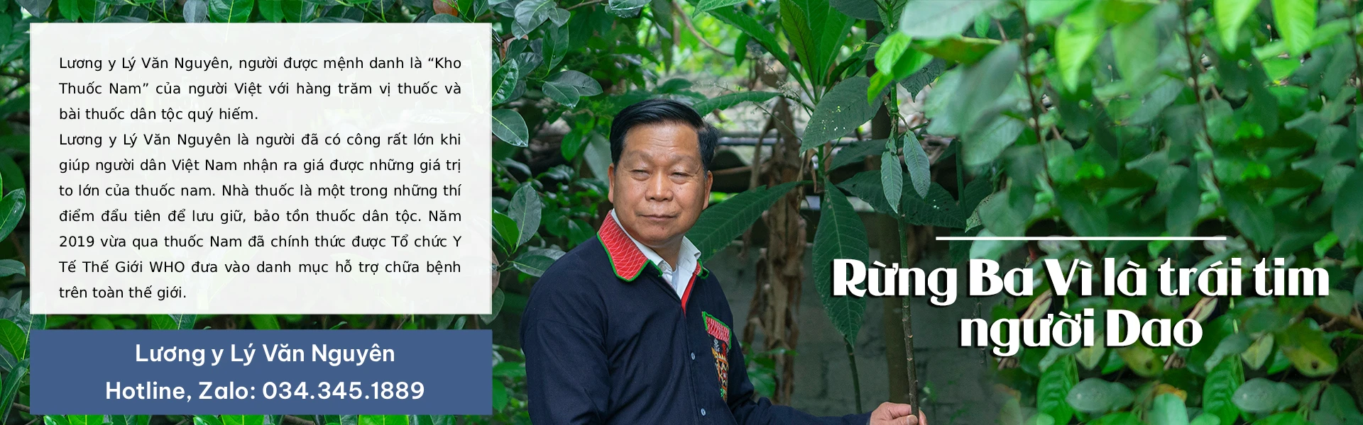 banner-ly-van-nguyen