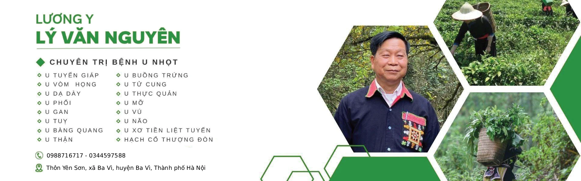 banner-ly-van-nguyen-2
