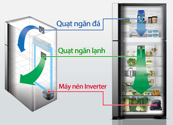 Vị Trí Và Chức Năng Quạt Gió Tủ Lạnh