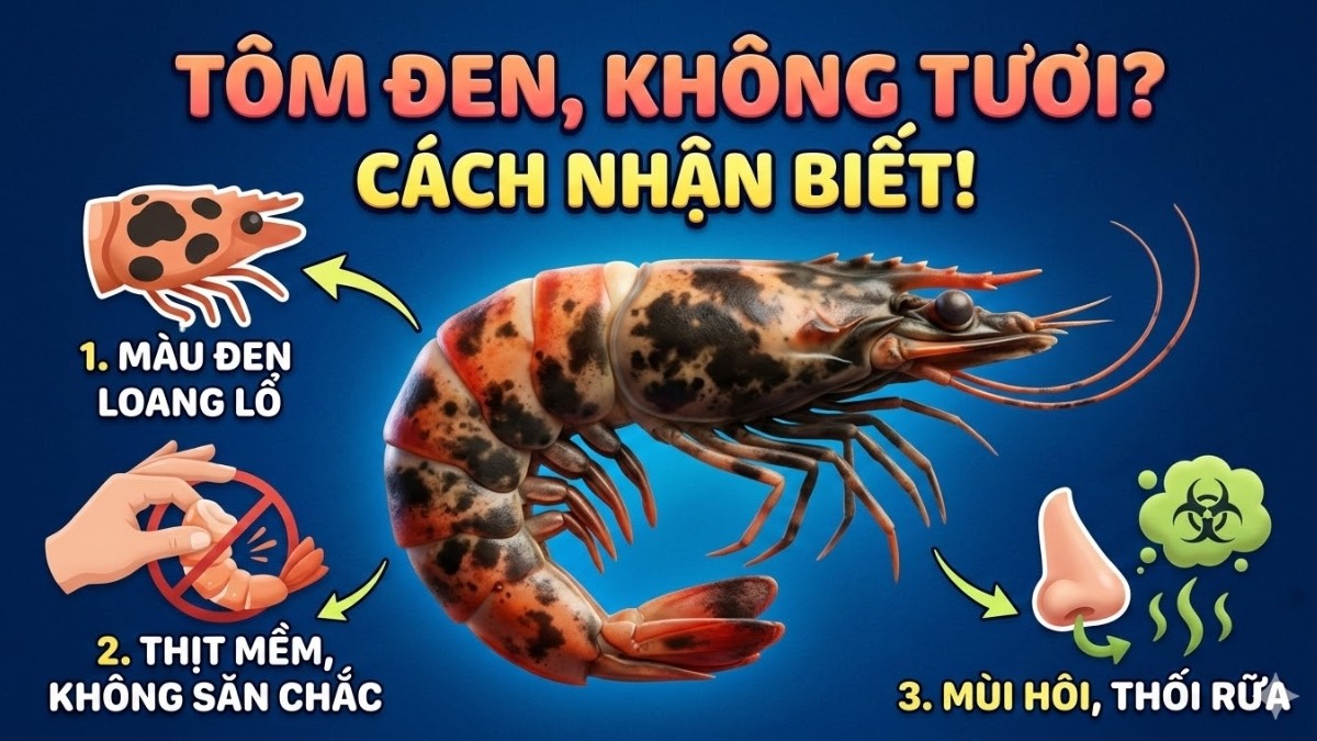 Dấu Hiệu Nhận Biết Tôm Bị Đen, Hỏng, Không Ăn Được Dấu Hiệu Nhận Biết Tôm Bị Đen, Hỏng, Không Ăn Được