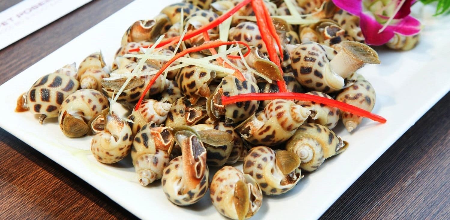 Nắm Chắc Cách Bảo Quản Ốc Trong Tủ Lạnh Giúp Bạn Luôn Có Sẵn Nguyên Liệu Tươi Ngon Và Đảm Bảo An Toàn Tuyệt Đối Cho Gia Đình Nắm Chắc Cách Bảo Quản Ốc Trong Tủ Lạnh Giúp Bạn Luôn Có Sẵn Nguyên Liệu Tươi Ngon Và Đảm Bảo An Toàn Tuyệt Đối Cho Gia Đình