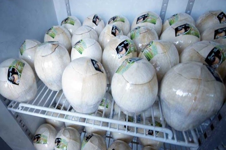 Nước Dừa Để Tủ Lạnh Được Bao Lâu Và Những Lưu Ý Vàng Khi Sử Dụng Nước Dừa Để Tủ Lạnh Được Bao Lâu Và Những Lưu Ý Vàng Khi Sử Dụng