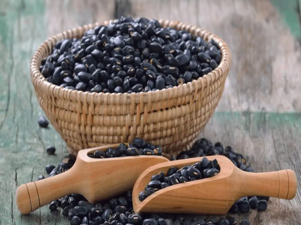 Cách Bảo Quản Đậu Đen Trong Tủ Lạnh - Hướng Dẫn Chi Tiết Để Giữ Đậu Tươi Ngon Tới 6 Tháng