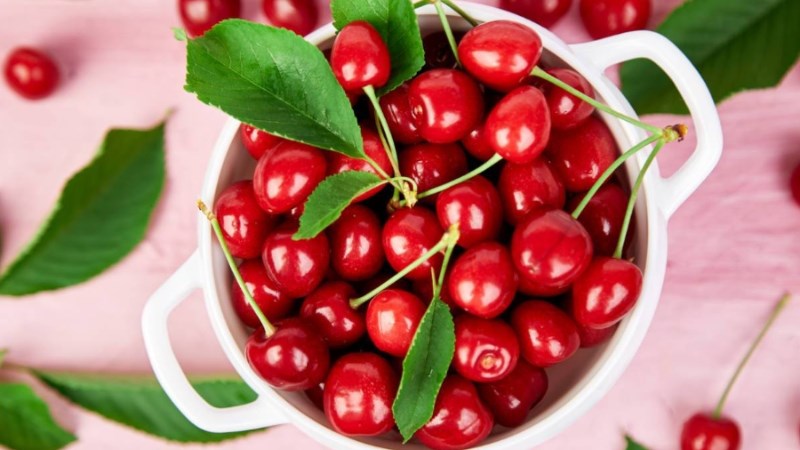 Bạn Lo Lắng Cherry Nhanh Hỏng? Khám Phá Cách Bảo Quản Cherry Trong Tủ Lạnh Và Mẹo Giữ Độ Tươi Khi Không Có Tủ Lạnh Hiệu Quả Nhất Tại Đây.