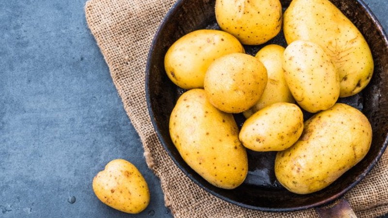 Có Nên Rửa Khoai Tây Trước Khi Cất Vào Tủ Lạnh? Không. Việc Rửa Làm Tăng Độ Ẩm Bề Mặt, Tạo Điều Kiện Cho Nấm Mốc Và Vi Khuẩn Phát Triển Nhanh Hơn.