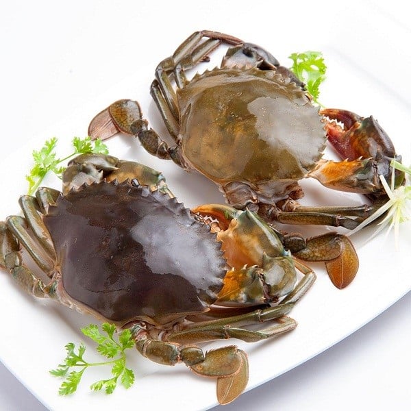 Cách Bảo Quản Cua Đồng Trong Tủ Lạnh