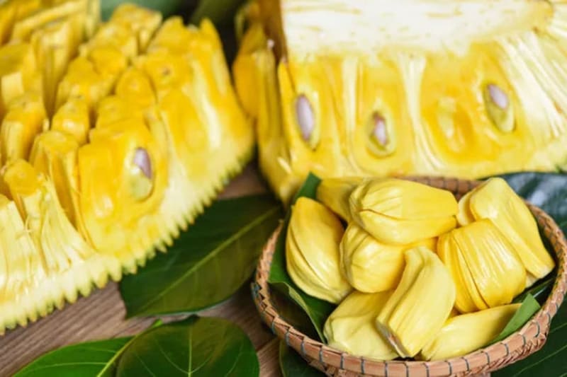Mít Chưa Chín Không Nên Cho Vào Tủ Lạnh Vì Nhiệt Độ Thấp Sẽ Làm Ngưng Trệ Quá Trình Chín, Khiến Mít Bị “Sượng” Mít Chưa Chín Không Nên Cho Vào Tủ Lạnh Vì Nhiệt Độ Thấp Sẽ Làm Ngưng Trệ Quá Trình Chín, Khiến Mít Bị “Sượng”