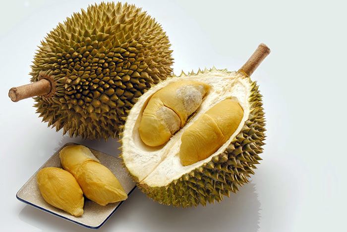 Bạn lo lắng sầu riêng làm hôi tủ lạnh? Xem ngay cách bảo quản sầu riêng trong tủ lạnh chuyên sâu: từ bọc màng thực phẩm đến chọn hộp kín khí. Đọc tại đây!