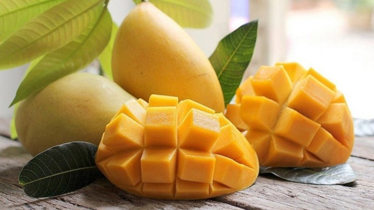 Làm sao để bảo quản xoài trong tủ lạnh mà không bị héo hay mất mùi? Phan Bếp chia sẻ tất tần tật kỹ thuật bảo quản xoài xanh và chín cực hiệu quả.