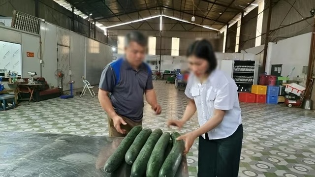 Hình ảnh 1