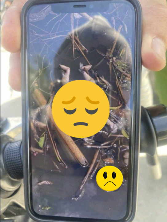Ảnh chụp màn hình 2026-05-18 234856