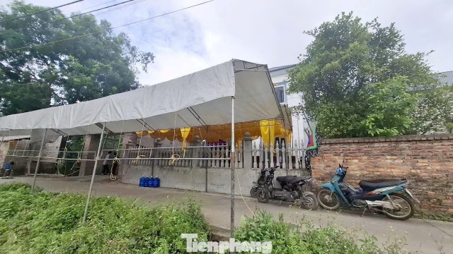 tp-4-jpg (1)