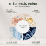 Kem dưỡng Collagen thuỷ phân Original Collagène X cream 50ml - Ảnh 3
