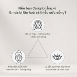 Kem dưỡng Collagen thuỷ phân Original Collagène X cream 50ml - Ảnh 4