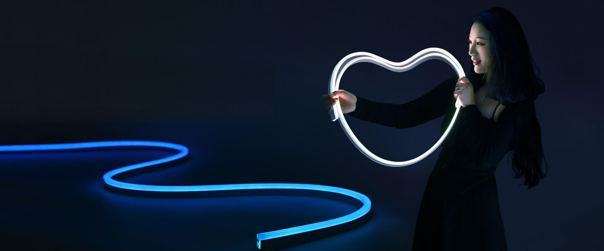 banner den led 2